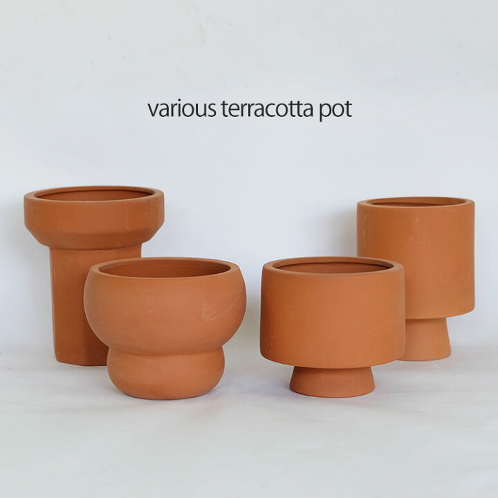 楽天市場 植木鉢 素焼き鉢 Various Terracotta Pot テラコッタ ガーデニング日和