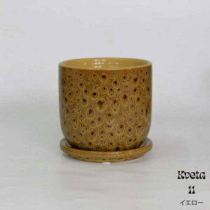 Aؔ 킢 NF^11 Z~bN  󂯎Mt a11.5cm 10.5cm ꌊ ϗtA  A sA