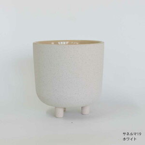 Aؔ  픫 Tl}19 ꌊȂ a18cm 19cm ϗtA