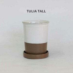 Aؔ  gD[Ag[12 Mt a12.5cm 15cm ꌊ 4 a