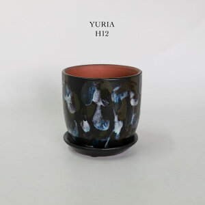 Aؔ 킢 [AH12 Z~bN  }[u a13cm 12cm ꌊ