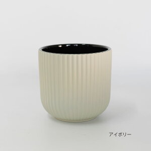 Aؔ   GZ14 ꌊȂ a14.5cm 14cm