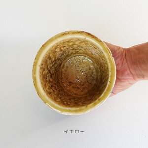 Aؔ  LUCIO 11 Jo[ Zg 킢 a12.5cm 11cm