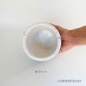 Aؔ  LUCIO 11 Jo[ Zg 킢 a12.5cm 11cm