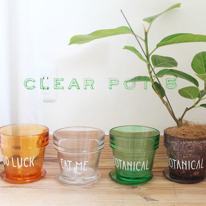 楽天市場 植木鉢 Clear Pot 5号 鉢 おしゃれ ガラス鉢 インテリア サボテン 多肉 透明感 ガーデニング日和