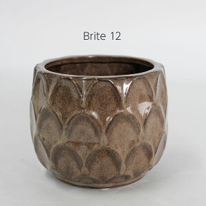 ue12   Jo[ ꌊȂ a14cm 12cm