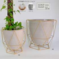 楽天市場】スタンド 8号 鉢の通販
