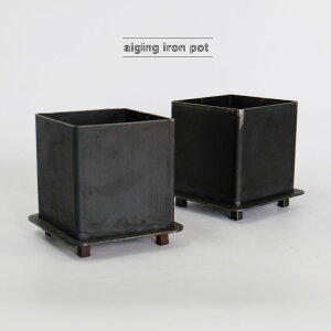 GCWOACA|bg Aؔ  ϗtA  킢 stem Xe