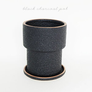 Aؔ  ubN`R[|bg Mt Z~bN 픫 stem Aؔ Xg[EFA a12m 14cm ꌊ 4