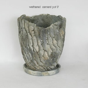 Aؔ  wethered cement pot 17 a17cm 19.5cm R4p Mt Zg Xe stem
