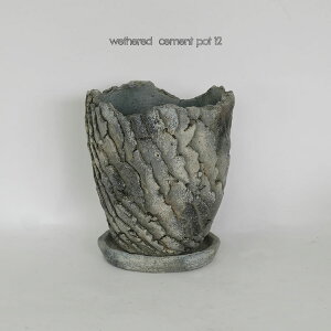 Aؔ  wethered cement pot 12 Mt Zg stem