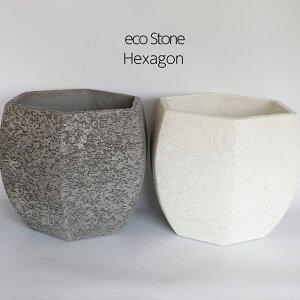 Aؔ  ^ Eco Stone |bgwLTS Jo[ stem R8p