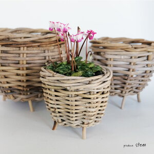Gray Rattan Jo[  oXPbg ^ Aؔ Jo[oXPbg RJo[3 4