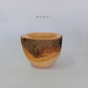 Jo[ R34 |bgp  }S[Ebh stem VR