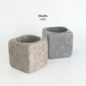 Aؔ  }[uXg[|bgL[u11 VR 嗝 stem Xe