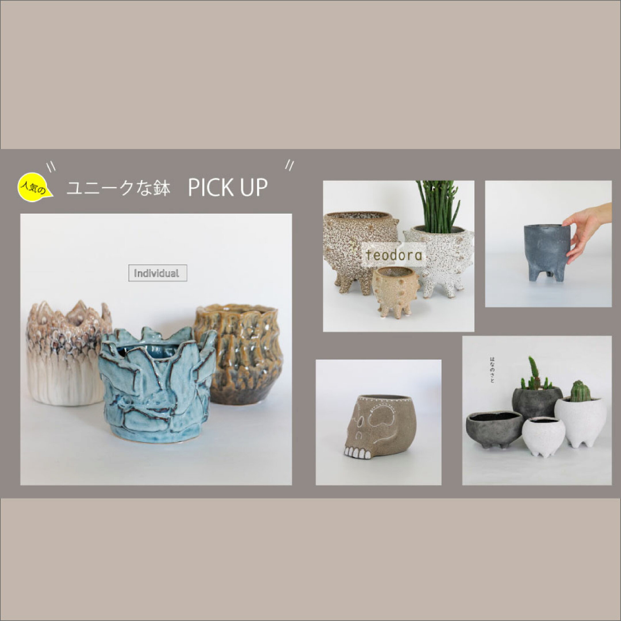 おすすめの『ユニークな鉢（変わり鉢）』をpick up