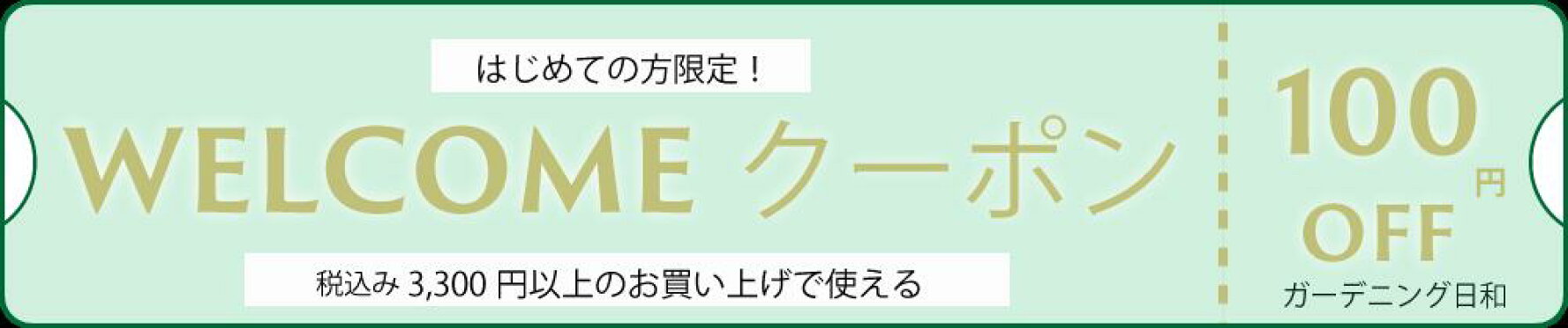 はじめての方限定クーポン