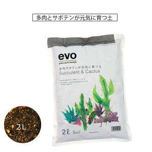 ƃT{e̔|{y2L ʋC r ԋʓy y o[Cg [ICg