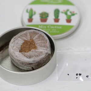 [OK T{e ʍ͔|Zbg~bNX ڂĂ JN^X