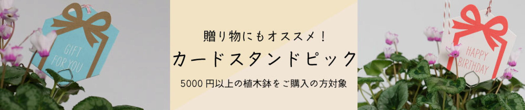 カードスタンドピックプレゼント