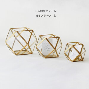 BRASSt[ KXP[XL K[fjO GAvc CeA 