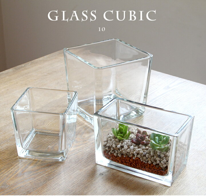 楽天市場 Cubic 10 テラリウム ガラス 多肉植物 鉢 水槽 花瓶 ガーデニング日和