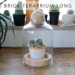 BRICK terarrium LONG K[fjO eE T{e A CeA KXV[P[X h[^