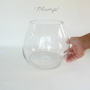 ガラス 水槽 テラリウム 熱帯魚 アクアリウム用品の人気商品 通販 価格比較 価格 Com