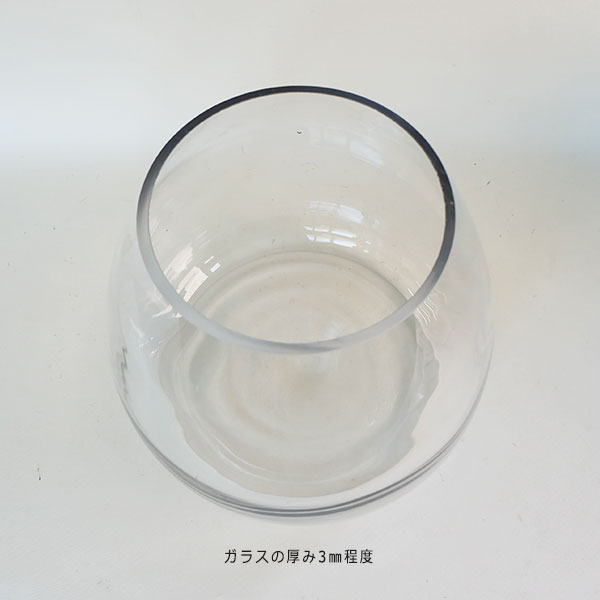 ファッションなデザイン グラスベース ボーラ L ガーデニング ガラス 水槽 水草 テラリウム 円