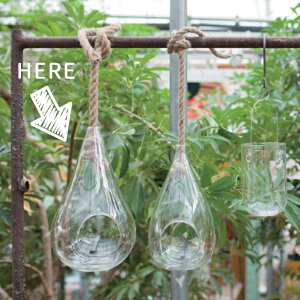 LARGE HANKING VASE 32 eE ݂艺nLO KX