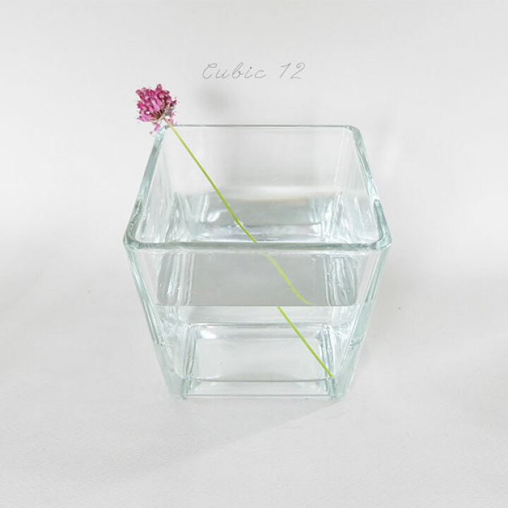 楽天市場 Cubic 12 テラリウム ガラス 多肉植物 鉢 水槽 花瓶 メダカ ガーデニング日和