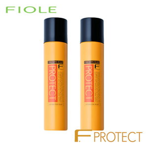 yztB[ FveNg NbLOXJv 190g×2Zbg FIOLE X^CO wAPA eꔄ Tꔄi 