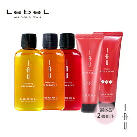 【2個フリーチョイス】Lebel ルベル イオ クレンジング 30ml 、トリートメント30g 選べるお得お試しセット【フリーチョイス】ヘアケア 人気 髪 サロン サロン専売 おすすめ 美髪 さらさら