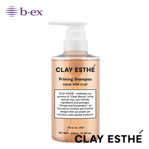 yzNCGXe vC~O Vv[ sNNC 400ml VR   􂢏グ wAPA wAX^C r[GbNX r[eB[GNXyGX CLAYESTHE b-ex