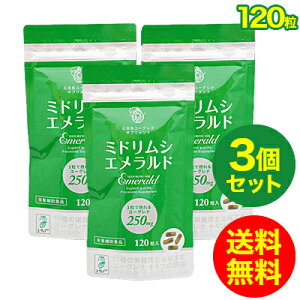 ミドリムシ エメラルド ユーグレナ サプリメント 乳酸菌/マキベリー/コエンザイムQ10/葉酸/パラミロン/置き換えダイエット/送料無料(120粒入り)3個セット【アルミパウチパッケージ】