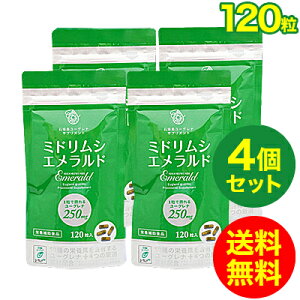 �~�h�����V �G�������h ���[�O���i �T�v�������g ���_��/�}�L�x���[/�R�G���U�C��Q10/�t�_/�p���~����/�u�������_�C�G�b�g/���������i120������E��1�������j4�Z�b�g�y�A���~�p�E�`�p�b�P