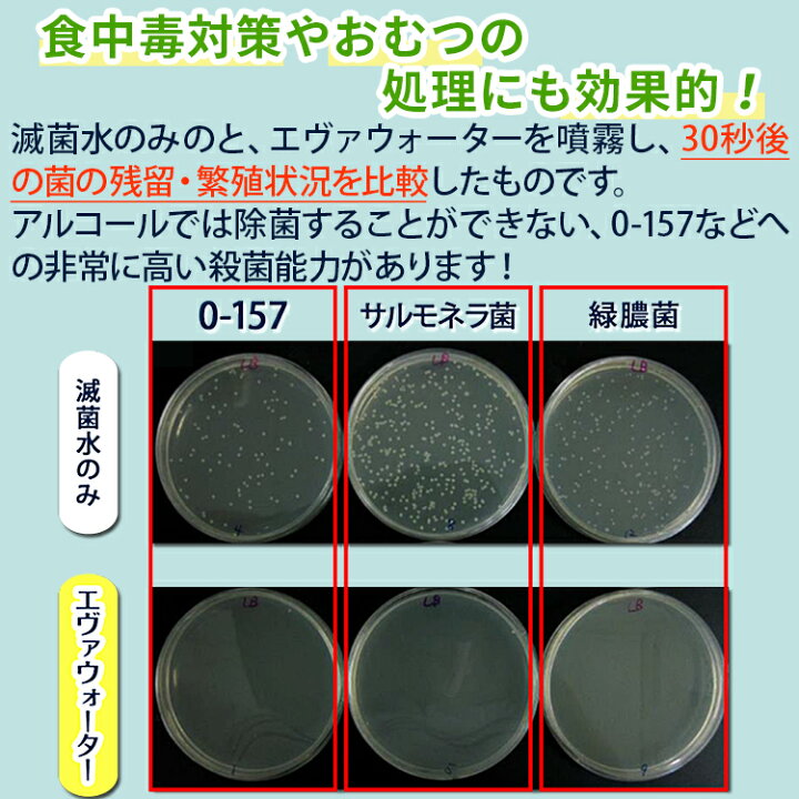楽天市場】次亜塩素酸水 スプレー 「エヴァウォーター」400ml 赤ちゃんにも安心の人体に無害の除菌スプレー 消臭 コロナウイルス : サプリコスメ専門美容健康ワールド 楽天市場】次亜塩素酸水 スプレー 「エヴァウォーター」400ml 赤ちゃんにも安心の人体に無害の除菌スプレー 消臭 コロナウイルス : サプリコスメ専門美容健康ワールド