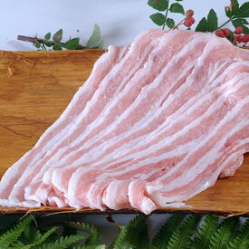 串原養豚 【元気な豚】三枚肉スライス 【アニマルウェルフェア|こだわりの飼料と健康管理|衛生的で安全な生産体制】