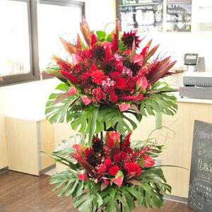 X^hԁ@i3~R[X@OWA[_iԌnjyݒuEEDzaj a a o[XfB TvCY o 蕨 t[Mtg v[g j 