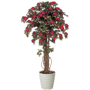 花 ブーゲンビリアの人気商品 通販 価格比較 価格 Com 花 ブーゲンビリアの人気商品 通販 価格比較 価格 Com