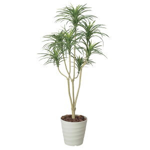 ԃA[gEϗtA@bJ1.6J@j JǏj VJX h] zj ItBX X 蕨 t[Mtg v[g j  A[eBtBVt[  