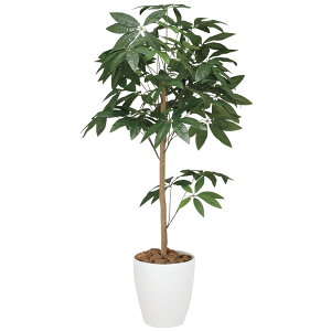 ԃA[gEϗtA@pLgsA[1.2J@j JǏj VJX h] zj ItBX X 蕨 t[Mtg v[g j  A[eBtBVt[ 