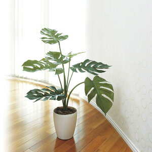 ԃA[gEϗtA@Xe75J@j JǏj VJX h] zj ItBX X 蕨 t[Mtg v[g j  A[eBtBVt[  