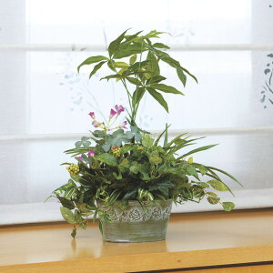 花 寄せ植え プレゼント 観葉植物の人気商品 通販 価格比較 価格 Com