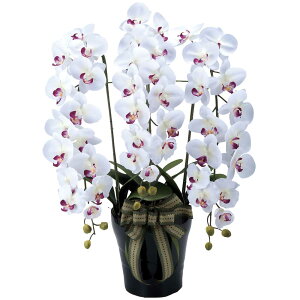 ԃA[gEӒ@CӒ3{W/ABnƏj I[v j[A tH[ ړ]j zj Vzj 蕨 t[Mtg v[g j  A[eBtBV