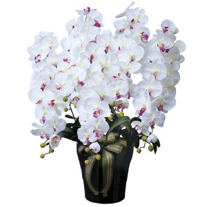 ԃA[gEӒ@CӒ5{W/ABJXj JƏj ACj ސEj a j oYj җj 蕨 t[Mtg v[g j  A[eBtBV