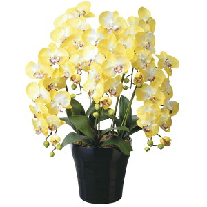 ԃA[gEӒ@NC[Ӓ5{YJXj JƏj ACj ސEj a j oYj җj 蕨 t[Mtg v[g j  A[eBtBVt