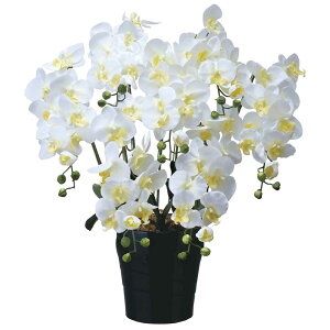 ԃA[gEӒ@LOӒ7{WJXj JƏj ACj ސEj a j oYj җj 蕨 t[Mtg v[g j  A[eBtBVt