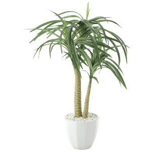 ユッカ 花 観葉植物の人気商品 通販 価格比較 価格 Com