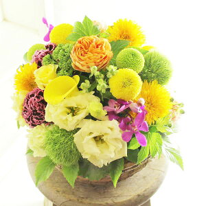 生花 花 お見舞い 黄色の人気商品 通販 価格比較 価格 Com